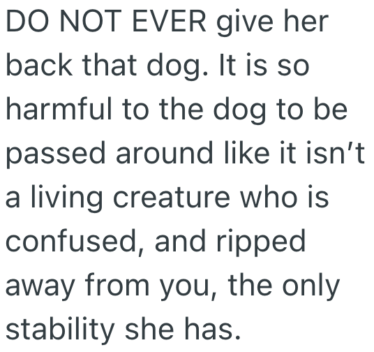Screenshot 2025 03 10 at 10.22.24 PM A Family Took In Their Aunts Dog They Thought It Was For Keeps, But When She Wanted It Back, They Had To Make A Tough Choice
